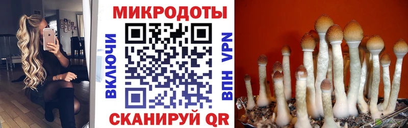 Галлюциногенные грибы прущие грибы  сколько стоит  Курлово 